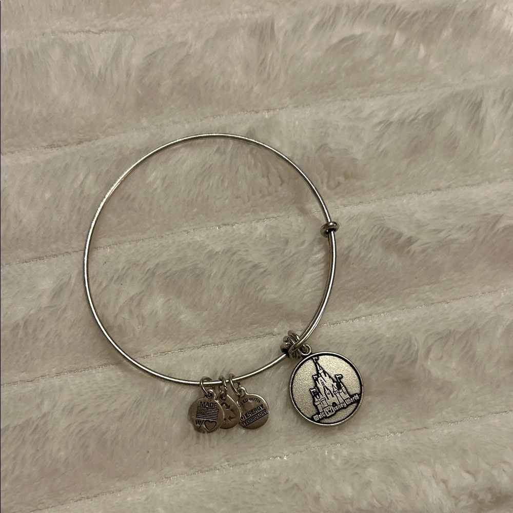 RARE Alex and Ani Walt Disney World Bracelet
